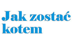 Jak Zostac Kotem Online Jak Zostac Kotem Online